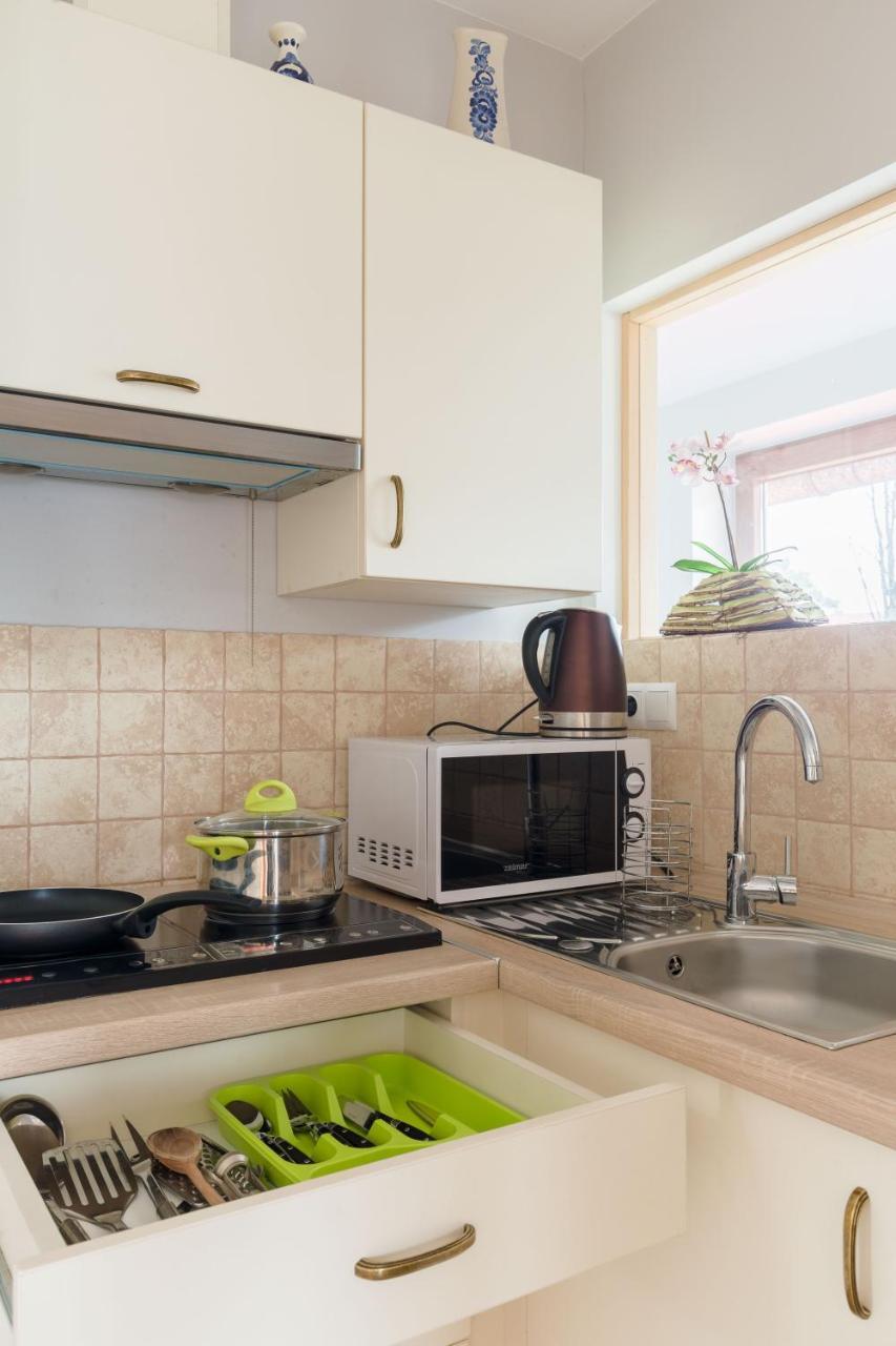 Apartament Parzenica ザコパネ エクステリア 写真