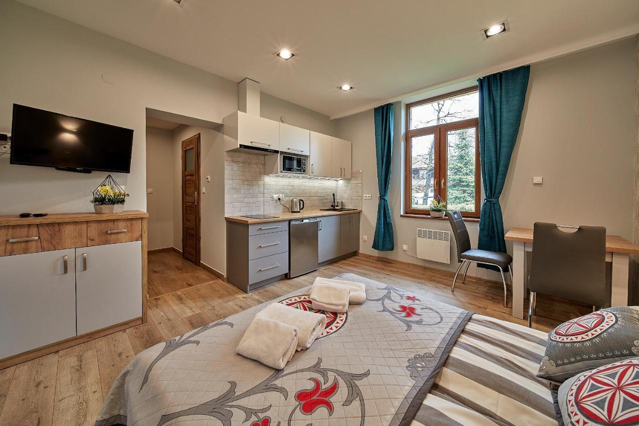 Apartament Parzenica ザコパネ エクステリア 写真